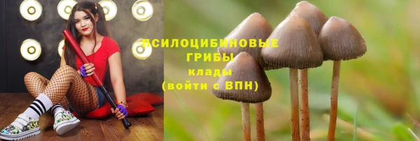 а пвп мука Сосновоборск