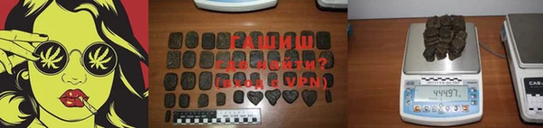 крисы Сосновый Бор