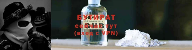 крисы Сосновый Бор