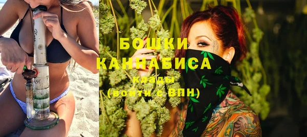 крисы Сосновый Бор