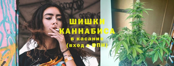 крисы Сосновый Бор