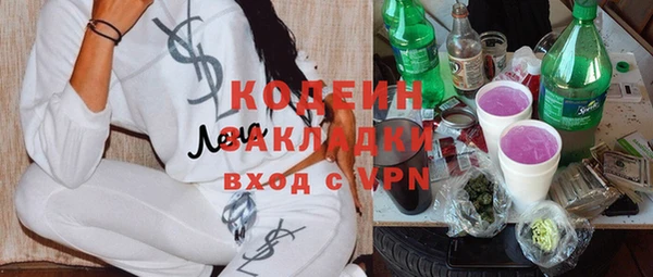 крисы Сосновый Бор