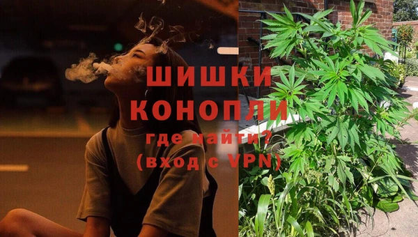крисы Сосновый Бор