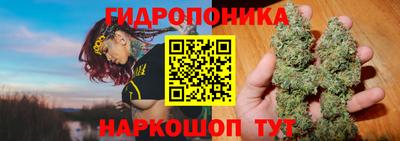 соль ск Аргун