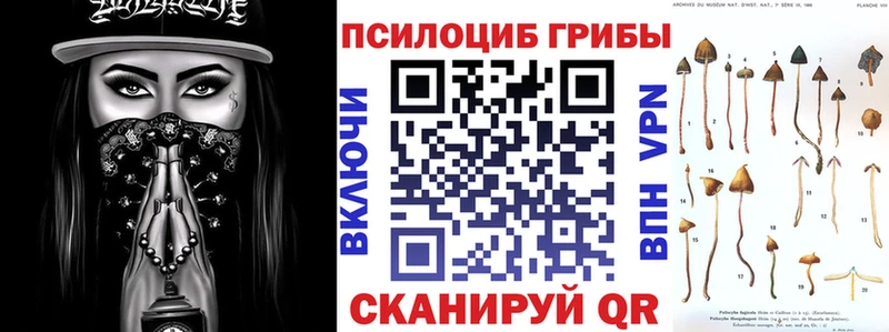 гидра маркетплейс  наркотики  Краснодар  Псилоцибиновые грибы Cubensis 