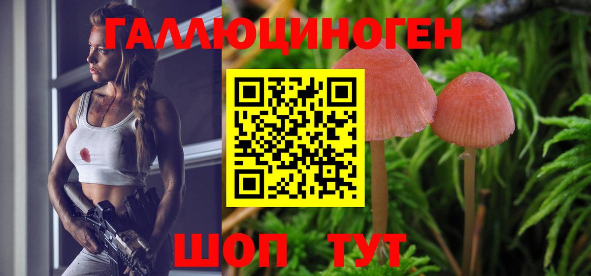 Краснодар  закладки  Вход с VPN  Псилоцибиновые грибы Psilocybe 