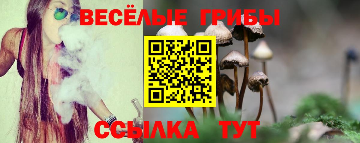 Галлюциногенные грибы Psilocybine cubensis Краснодар